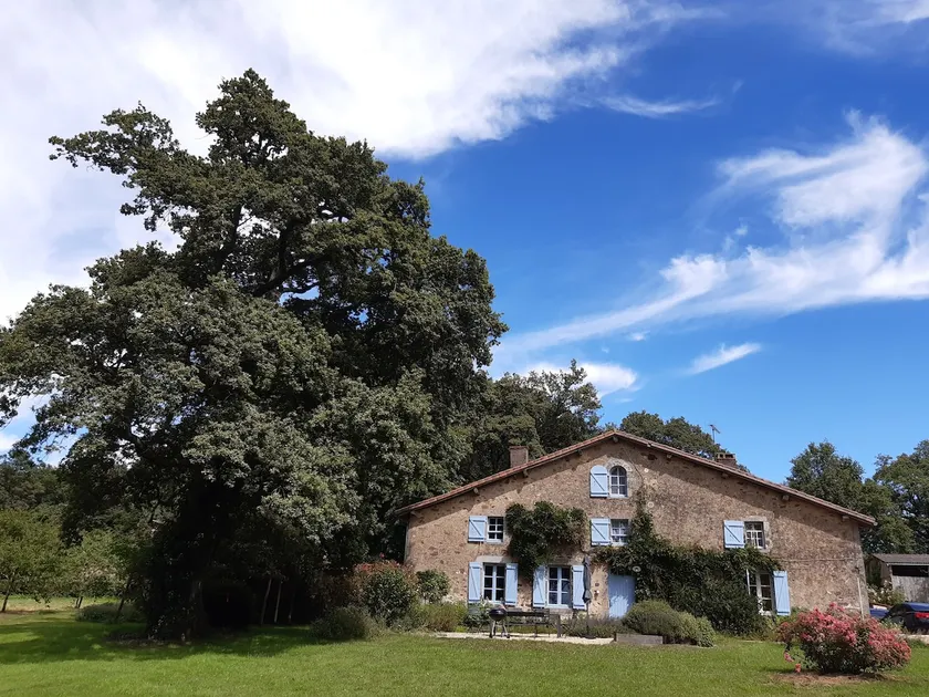 8p Rental | 200-acre Heritage Site | Puy du Fou - Image 1