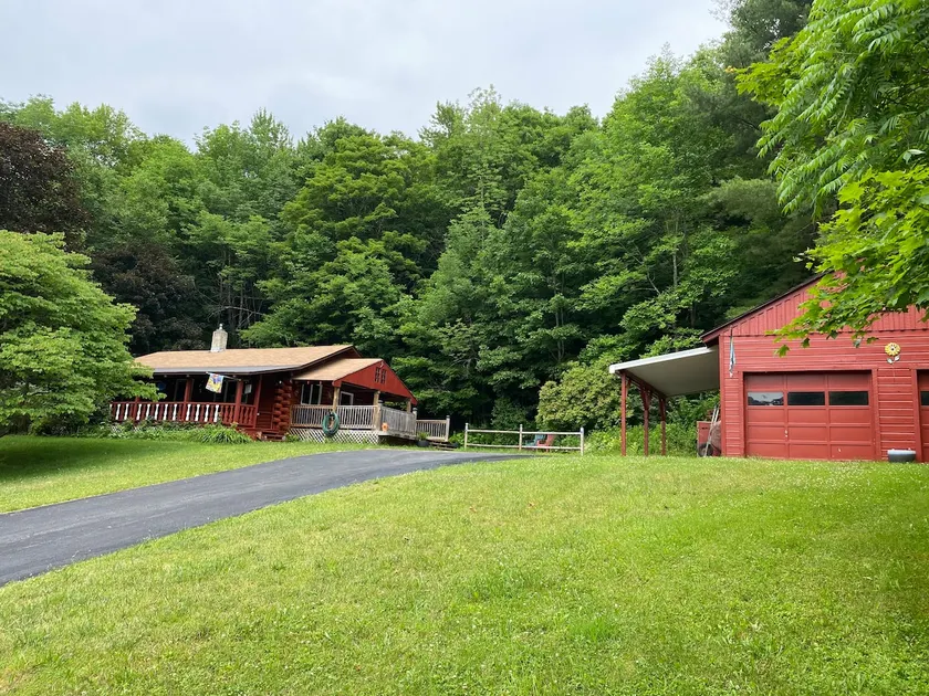 Cozy Catskill Ski Cabin Margaretville/Arkville - Image 1