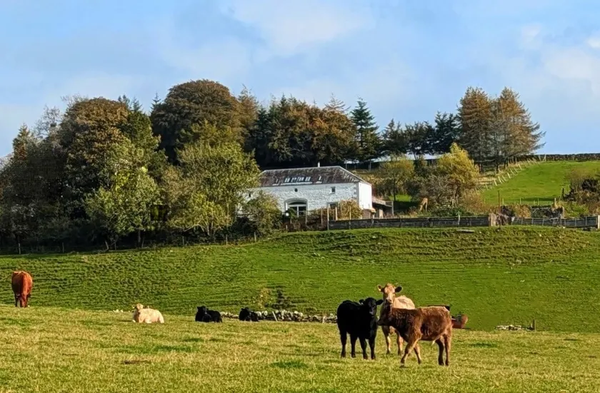 The Coach House at Durhamhill with llamas & games room mini cinema - Image 1
