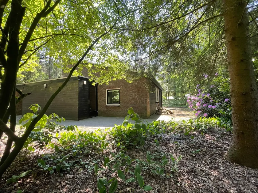 Modern holiday home, Vechtdal, forest - Image 1