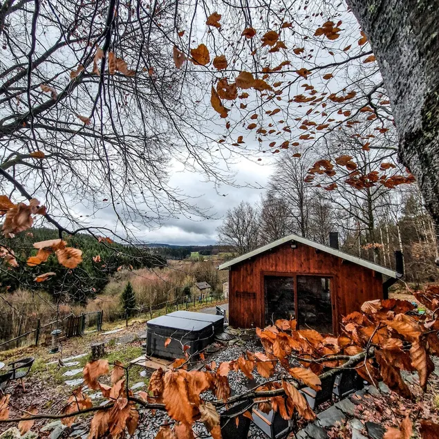 Vielsalm: Chalet with view and jacuzzi. - Image 1