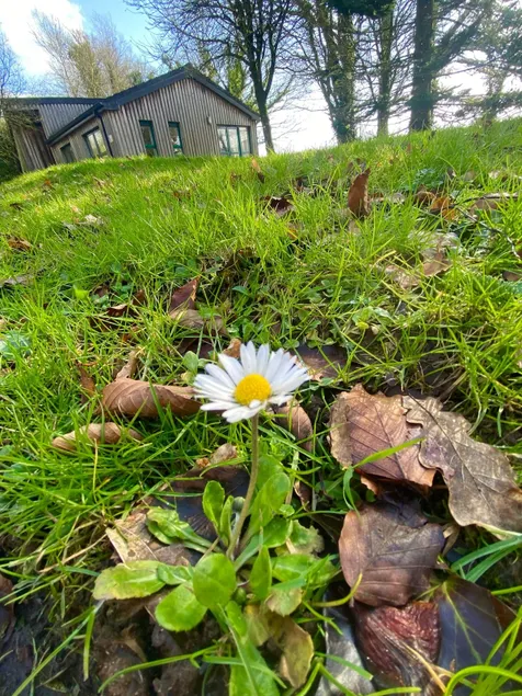 Ballyhoura Mountain Lodges - Image 1