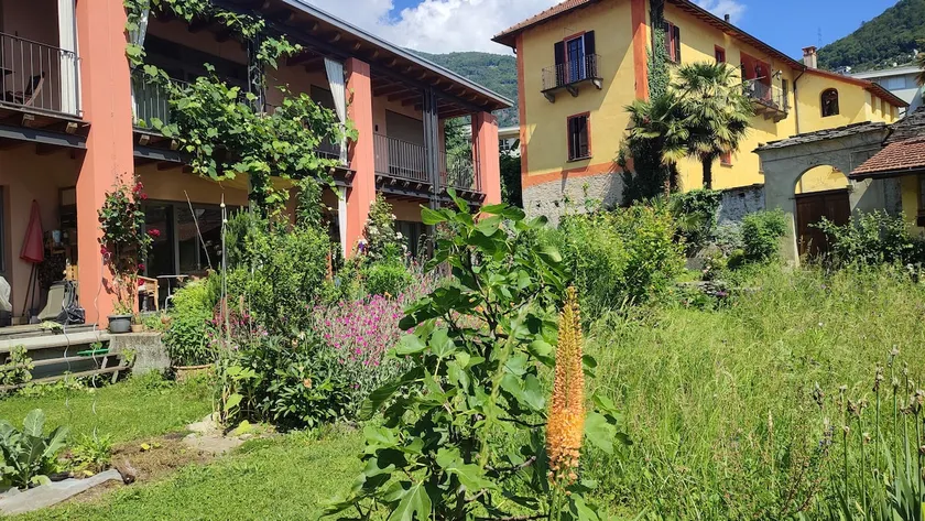Studio apartment, close to nature, central, quiet - Image 1
