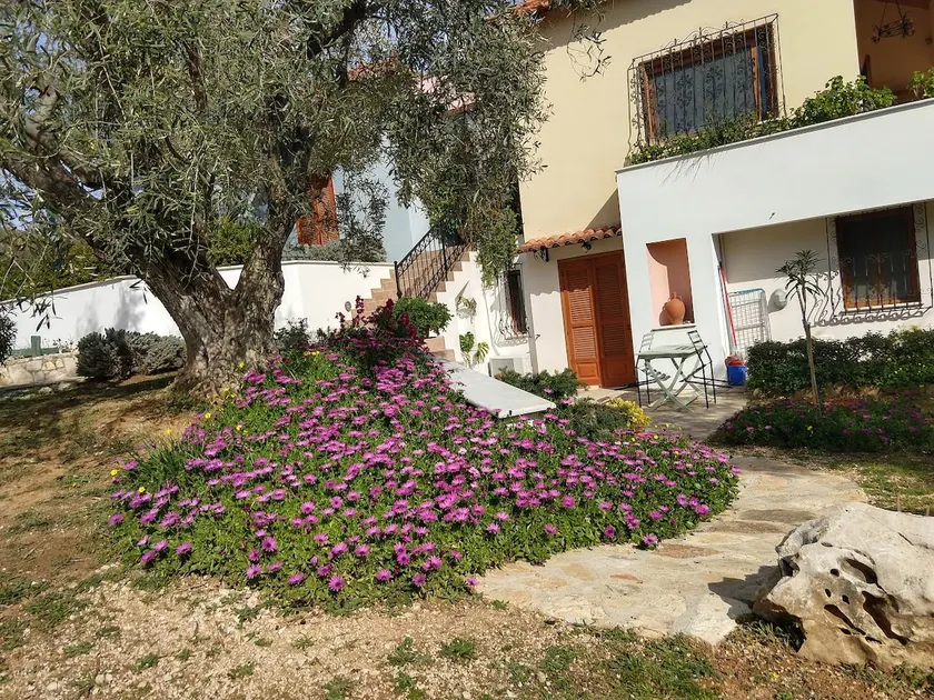 Danai's Apartment (in a beautiful olive grove) - Image 1