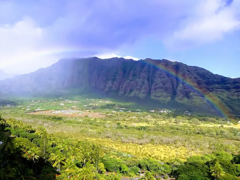 Makaha Blue Dream - Image 1
