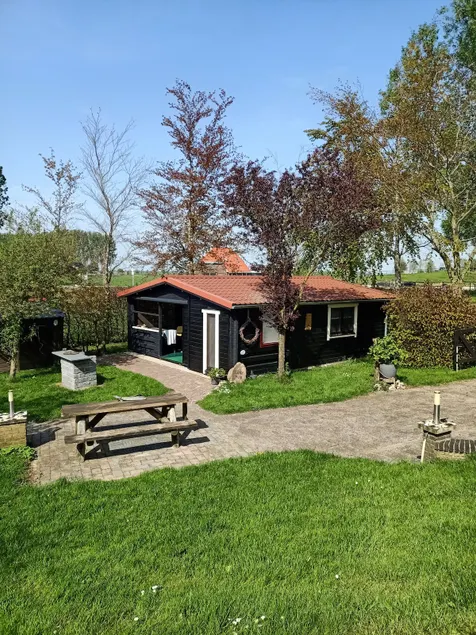 Birch house Sonnenberg IJsselmuiden - Image 1