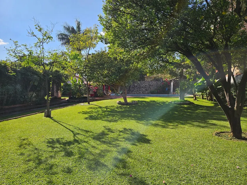 Quinta Sotoff - Image 1