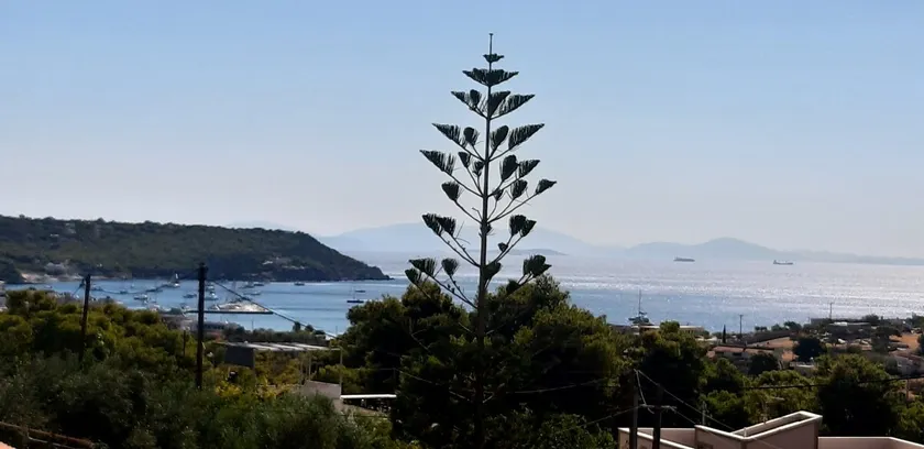 Agia Marina, family maisonette with sea view - Image 1