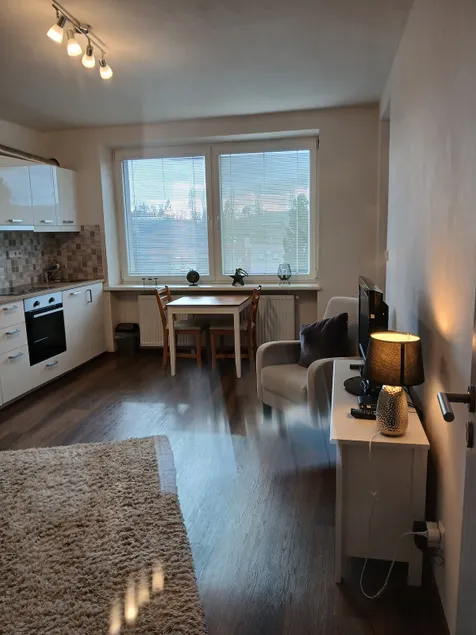 One bedroom apartment with balcony. - Image 1
