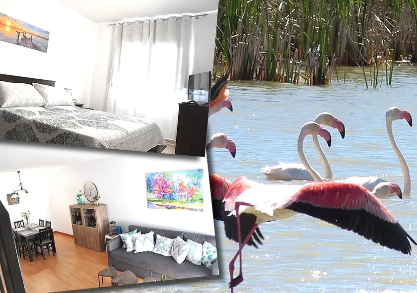 Family Duplex Apartment 15 min from Delta Beaches - Image 1