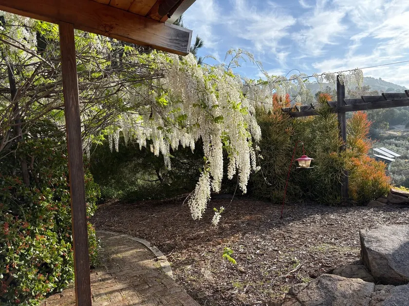 Mountain Oasis - Image 1