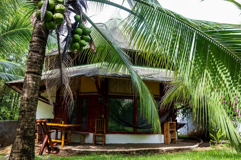 Ecolodge Deseo Bamboo - Superior House - Image 1