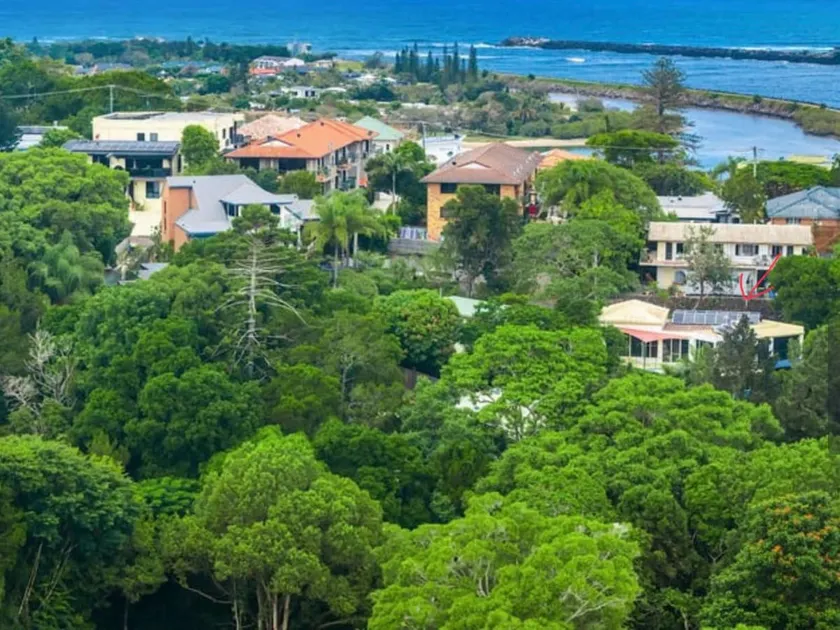 Treetop location - canopy overlooks North Creek - Image 1