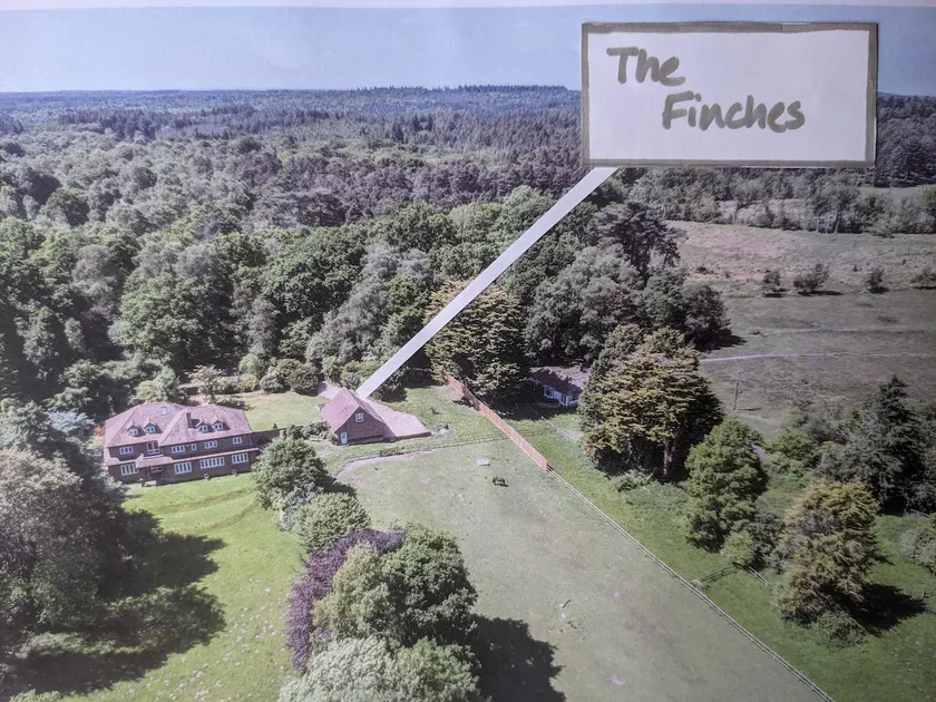 The Finches, at Acres Down House, New Forest - Image 1