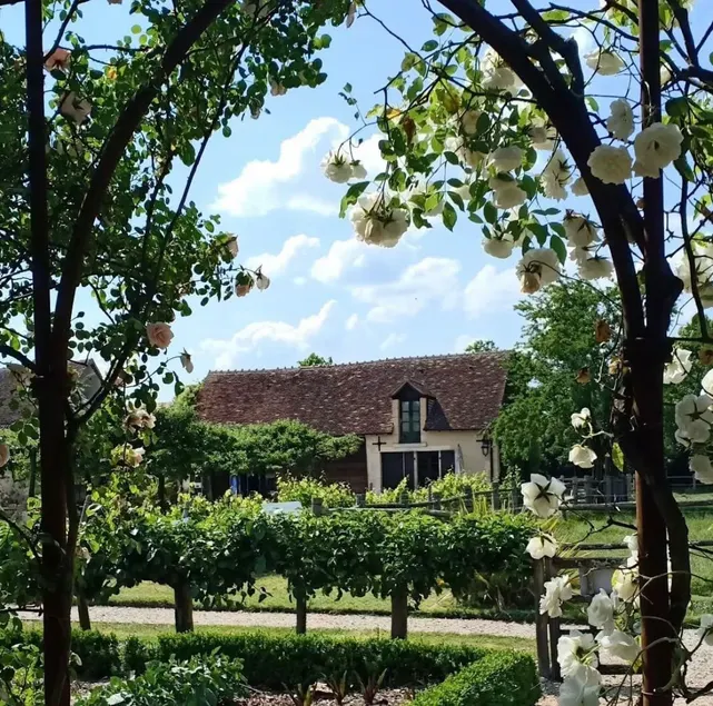 Gîte les Glycines - Domaine de Poulaines - Image 1