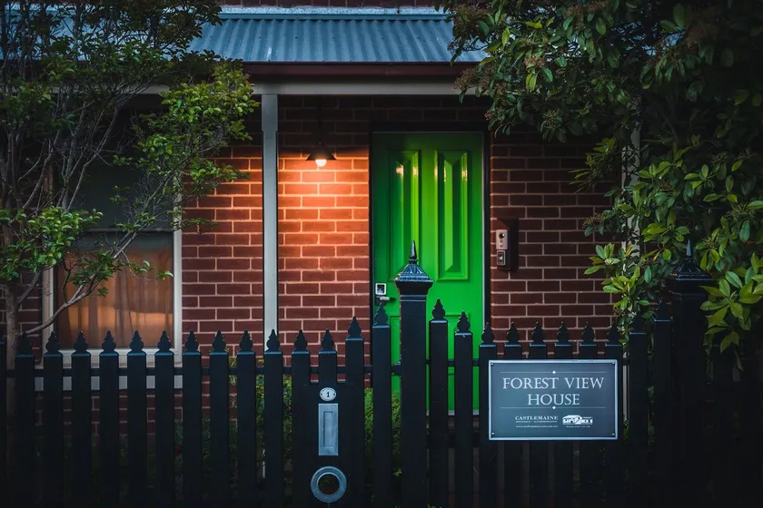 Forest View - Image 1