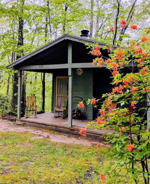 The Love Shack Cabin, NC - Image 1