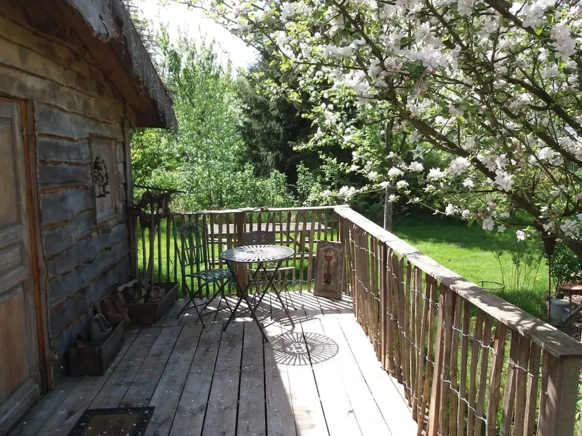 ”Head in the Stars” Treehouse - Image 1
