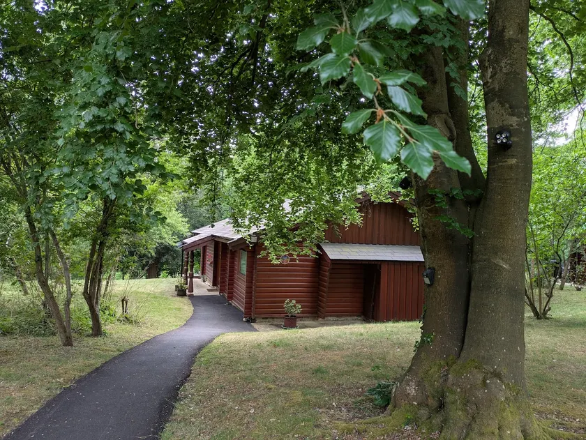 Log Cabin Amongst the Trees & close to the Thames - Image 1