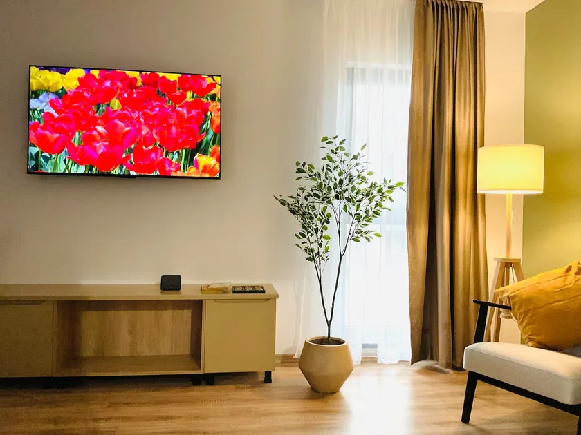 The Olive Spot - Image 1