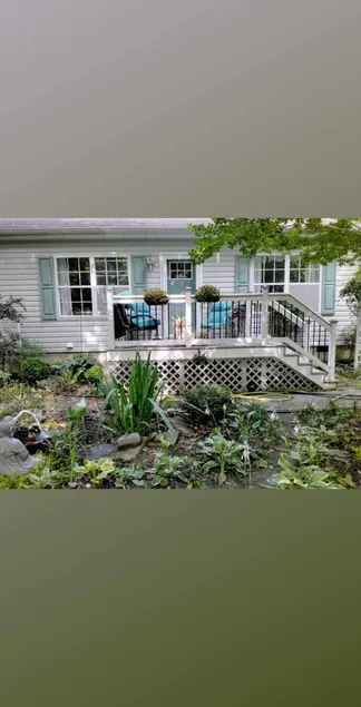Cottage in the Woods - Image 1