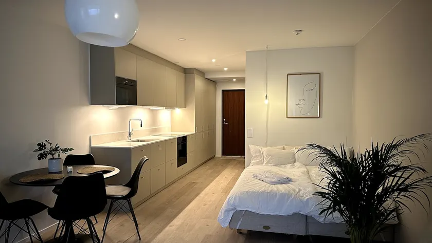 Private sauna, gas grill, yard and hotel bed - Image 1