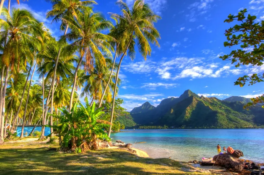 Tropical paradise near Taahiamanu beach - Image 1