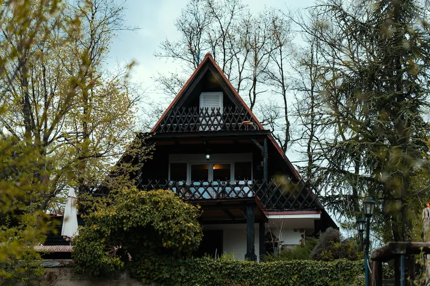 Forest days - Image 1
