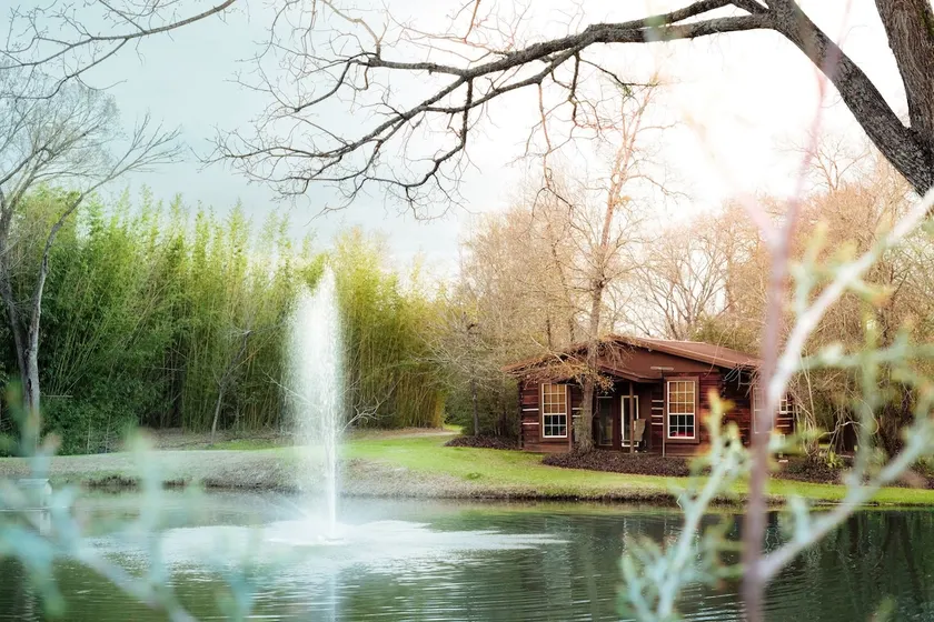 Cabin in the Woods - Image 1