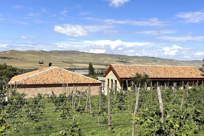 Cottages at Peradze Wine Cellar - Image 1