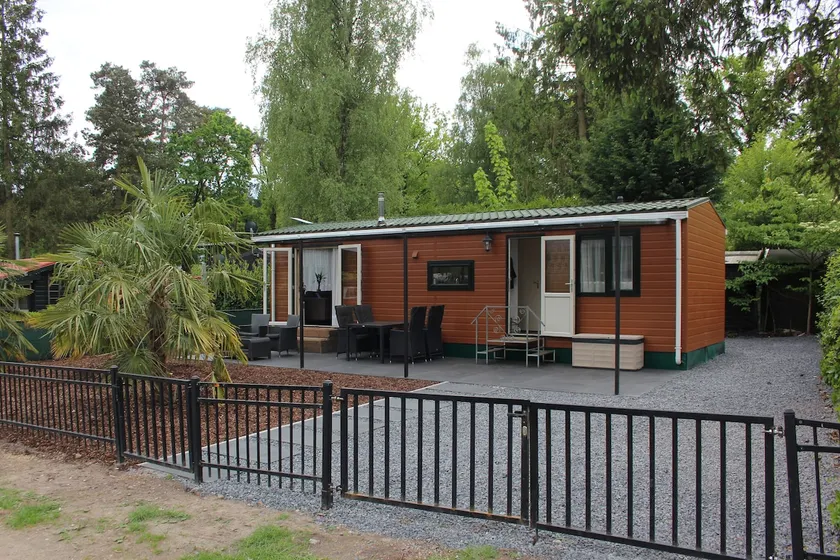 Palmoco Lodge – Palmen & Rust - Image 1