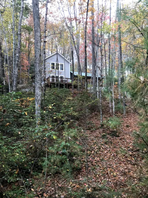 Contemporary Cabin in the Trees - Image 1