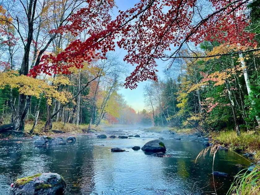 Woodland Getaway - Image 1