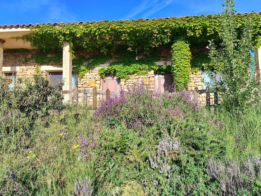 El Pozuelo - Image 1