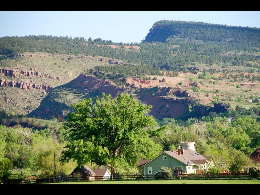 Big Tree Farmstead - Image 1