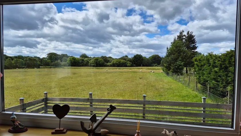 Garden View - Image 1