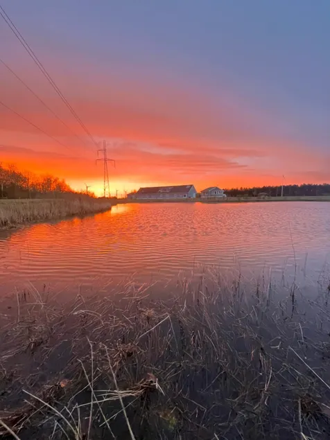 North Jutland - Idyllic countryside. - Image 1