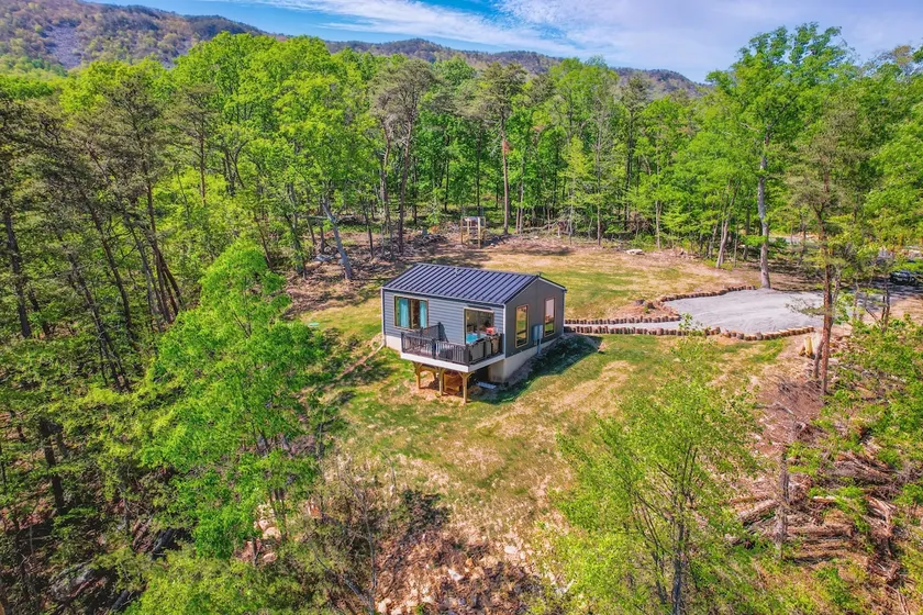 The Turtle Romantic Luxury Cabin w/Hot Tub & Views - Image 1