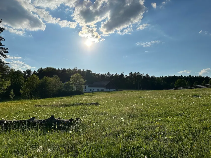 Pure nature / absolute secluded location / fiberglass - Image 1