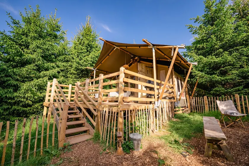 Giraffe lodge nestled in a forest - Image 1