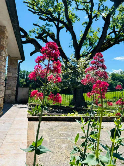 Villa Le Querce in the green heart of Umbria - Image 1