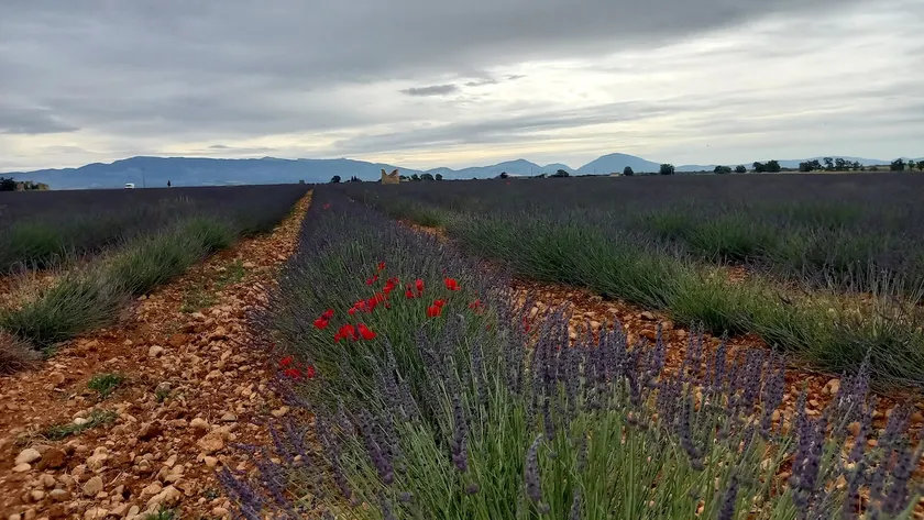 Village house in Valensole - Image 1