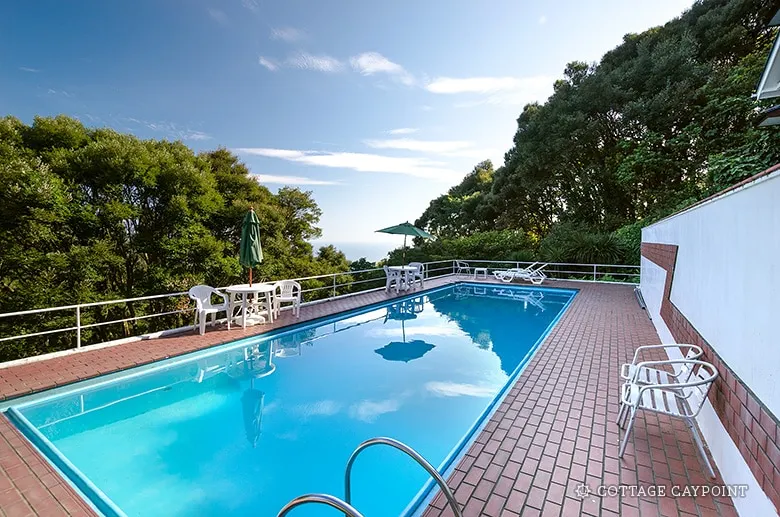 Renovation Open! All 4 Buildings are Private. Large Pool, Natural Water Open-air Bath, Karaoke, Ping Pong, Darts, BBQ　 - Image 1
