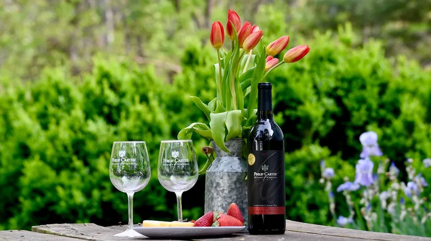 Romantic Wine Country Suite | Polo, Hiking Retreat - Image 1