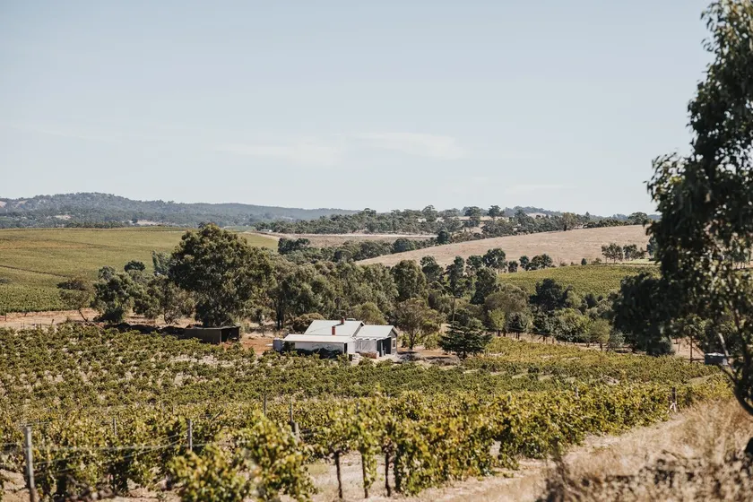 Vineview Cottage- A Farmhouse Cottage set on a Riesling Vineyard. Near Wineries! - Image 1