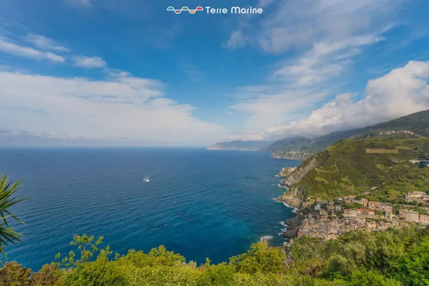 Blue Marine, TerreMarine - Image 1