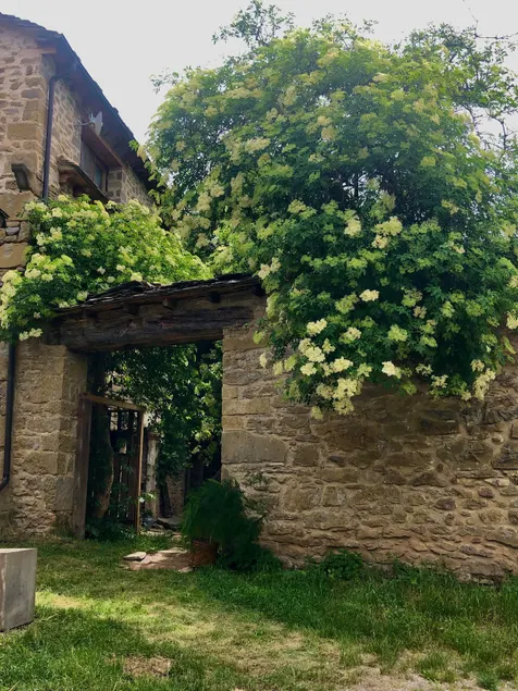 Ecovillage in the Aragonese Pyrenees - Image 1
