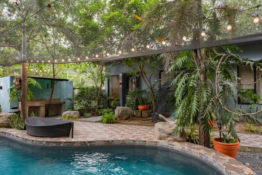 Beach House—Mangroves, Breakfast & Welcome Drinks - Image 1