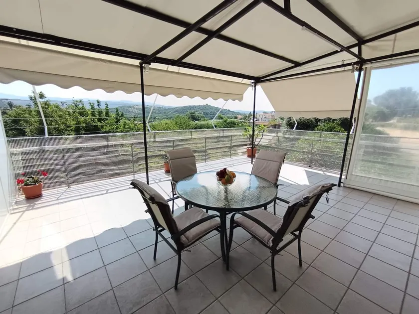 Veranda with Endless View among Orange Trees - Image 1