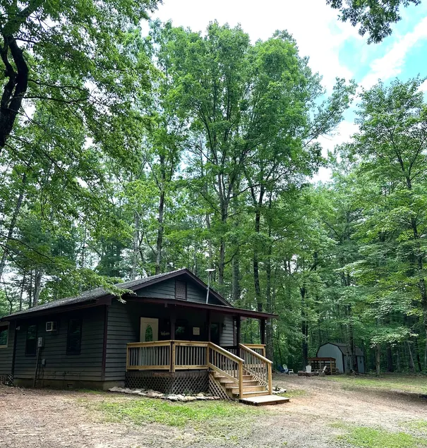 Peaceful, cozy cabin in the woods - Image 1